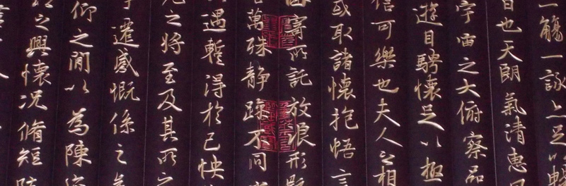 regard d'oiseau sur la ville