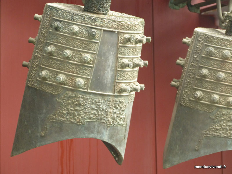 mouton à tête noire