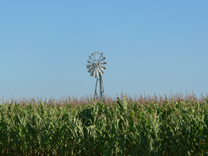 éolienne dans un champ