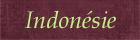 indonésie
