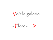 vers galerie Flore