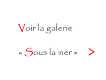 ver galerie sous la mer
