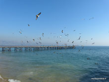Baie de Valparaiso - Chili