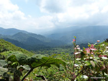 Monteverde - Costa Rica