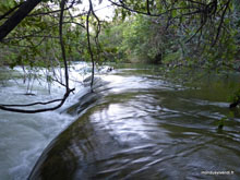 Rivière - Bonito - Brésil