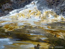 Orakei korako- Nouvelle-Zélande