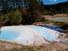 Warakei - Nouvelle-Zélande