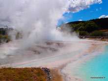 Warakei - Nouvelle-Zélande