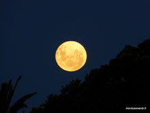 Lune - Raglan - Nouvelle-Zélande